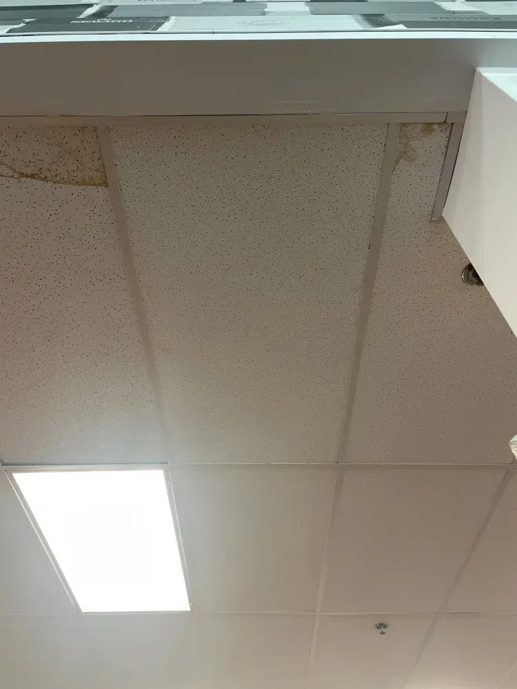 Ceiling Tile Replacement in Sacramento