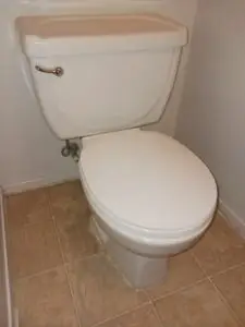 Toilet Replacement Service in Elk Grove