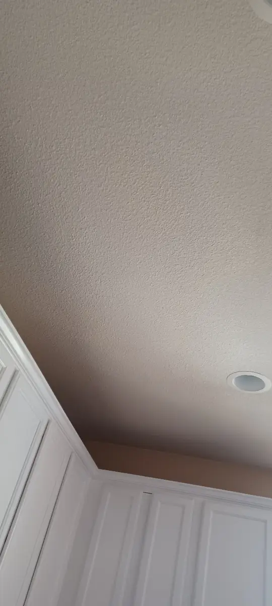 Ceiling Drywall Repair in Elk Grove