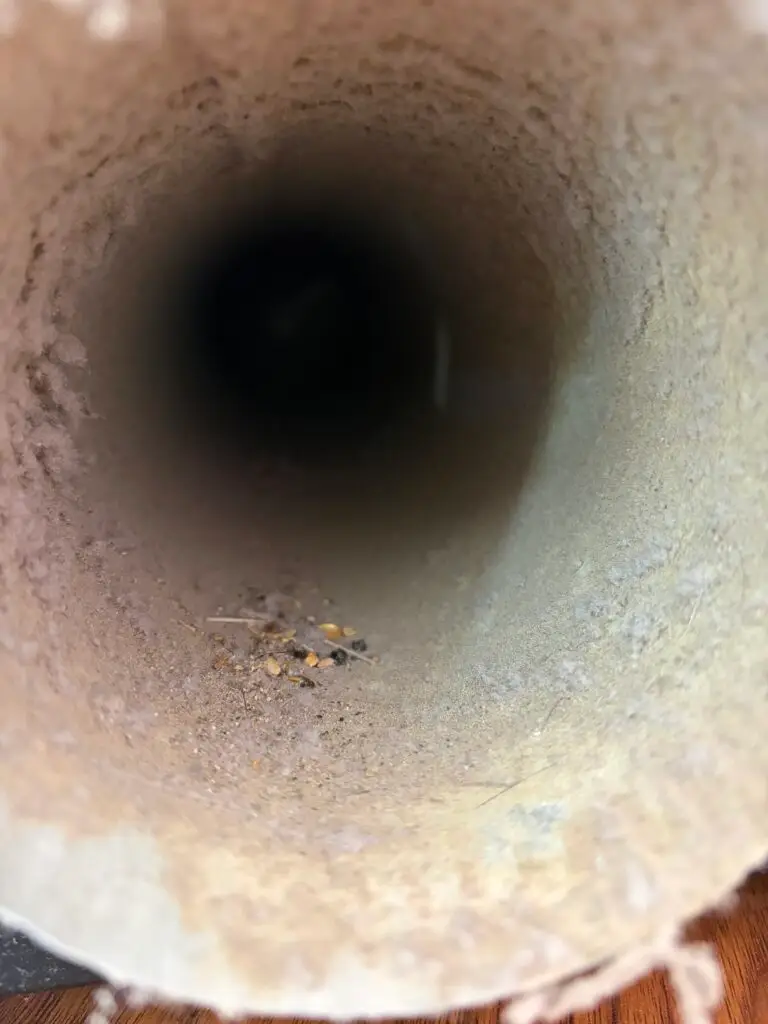 Dryer Vent Cleaning Service in Elk Grove — elk grove handyman